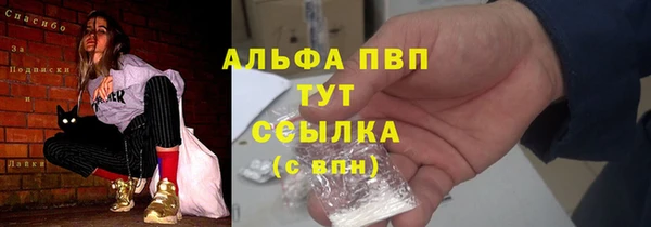 хмурый Абаза