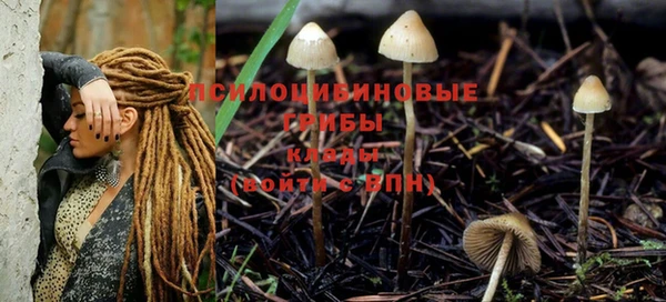 хмурый Абаза