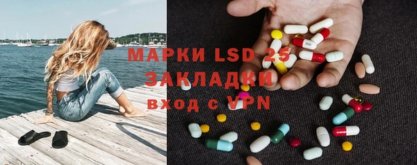 хмурый Абаза