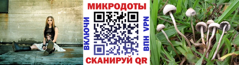 Галлюциногенные грибы Cubensis  Электрогорск 