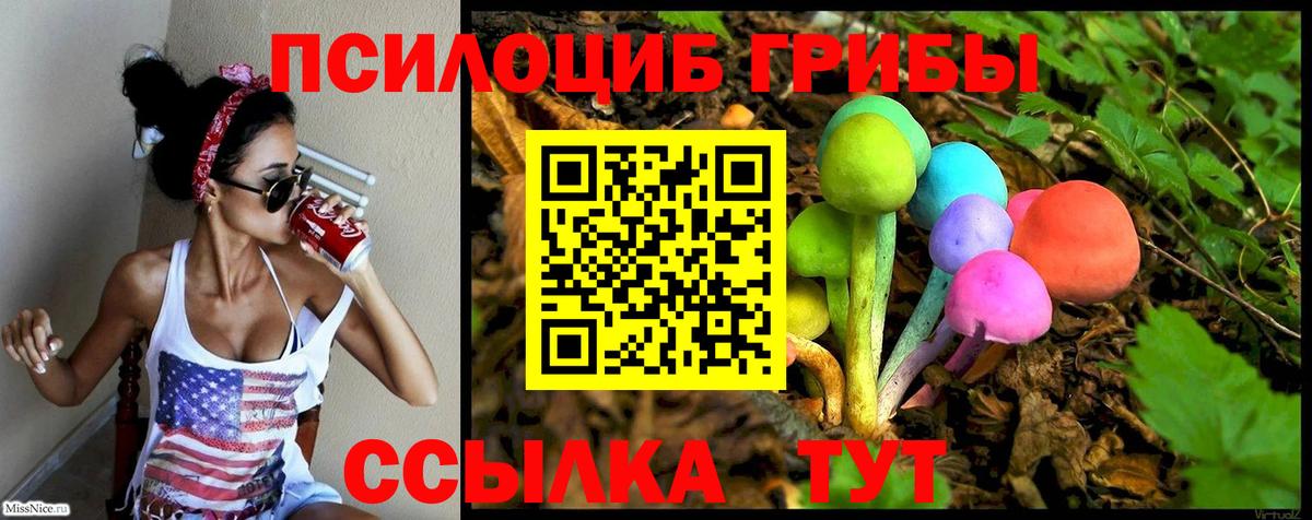 Галлюциногенные грибы прущие грибы  Псилоцибиновые грибы Psilocybe  Вход с VPN  Электрогорск 